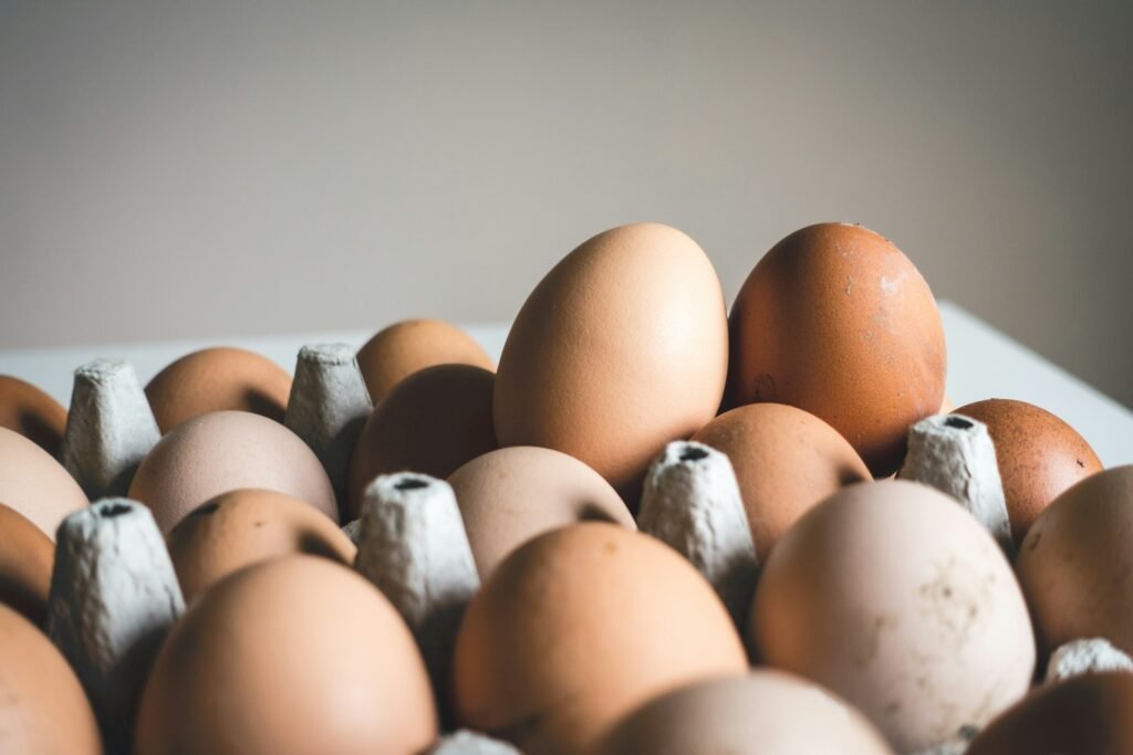 Carnivore diet food list: eggs